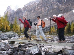 Lake O'Hara Hike