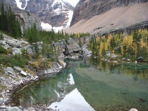 Lake O'Hara Hike