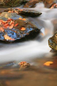 flowing stream