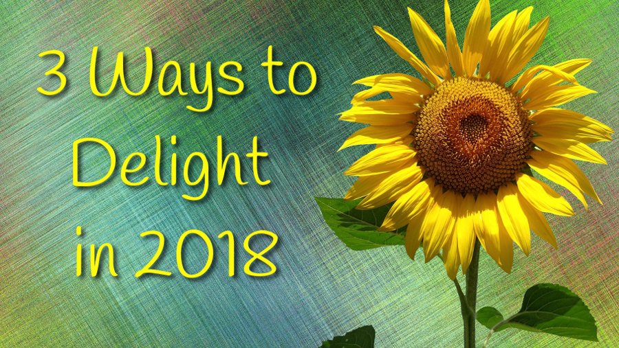 sunflower - 3 Ways to Delight